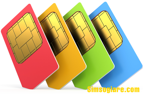 Cầm sim điện thoại và những lưu ý cần biết