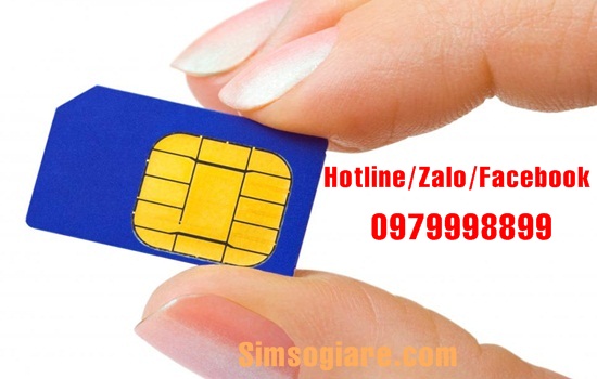 Dịch vụ cầm sim số đẹp tại TPHCM Uy Tín Số 1