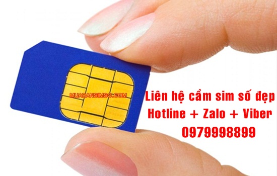 Liên hệ dịch vụ cầm sim tại Hải Phòng chuyên nghiệp, uy tín nhất