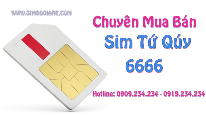 Sim tứ quý 6666